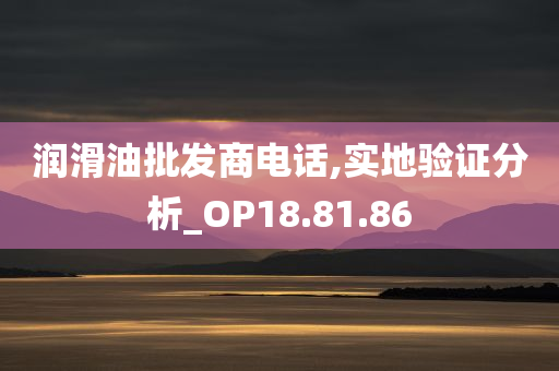 润滑油批发商电话,实地验证分析_OP18.81.86