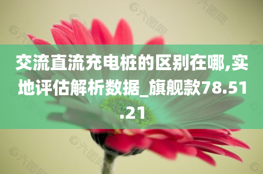 交流直流充电桩的区别在哪,实地评估解析数据_旗舰款78.51.21