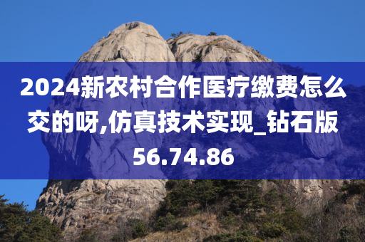 2024新农村合作医疗缴费怎么交的呀,仿真技术实现_钻石版56.74.86