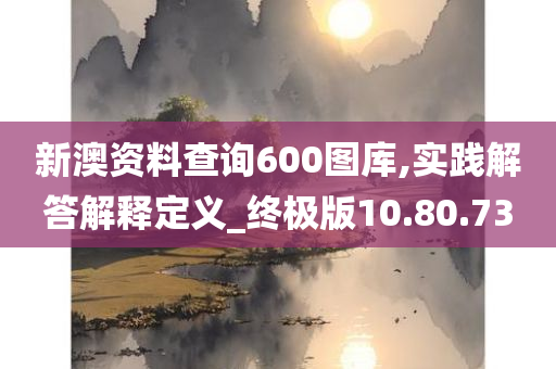 新澳资料查询600图库,实践解答解释定义_终极版10.80.73