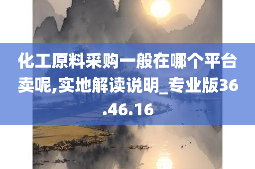 化工原料采购一般在哪个平台卖呢,实地解读说明_专业版36.46.16