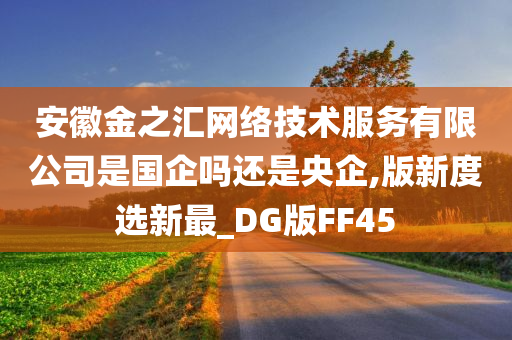 安徽金之汇网络技术服务有限公司是国企吗还是央企,版新度选新最_DG版FF45