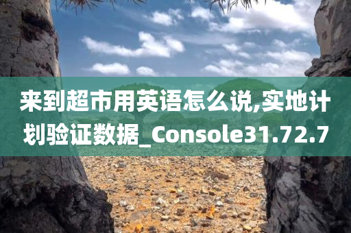 来到超市用英语怎么说,实地计划验证数据_Console31.72.70