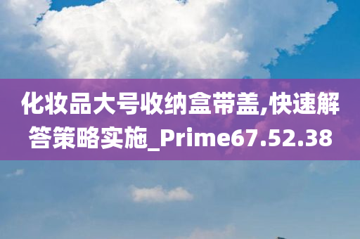 化妆品大号收纳盒带盖,快速解答策略实施_Prime67.52.38