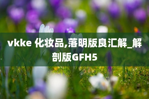 vkke 化妆品,落明版良汇解_解剖版GFH5