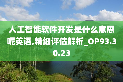 人工智能软件开发是什么意思呢英语,精细评估解析_OP93.30.23