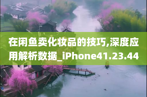 在闲鱼卖化妆品的技巧,深度应用解析数据_iPhone41.23.44