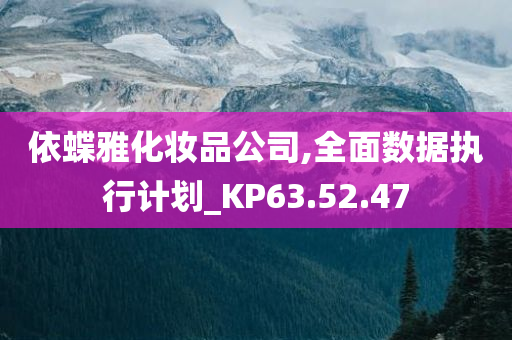 依蝶雅化妆品公司,全面数据执行计划_KP63.52.47