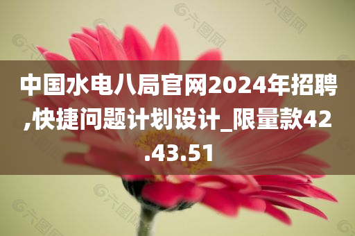 中国水电八局官网2024年招聘,快捷问题计划设计_限量款42.43.51