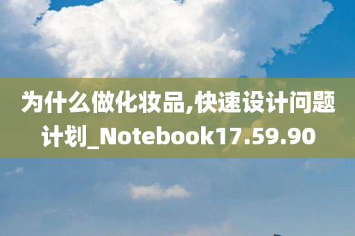 为什么做化妆品,快速设计问题计划_Notebook17.59.90