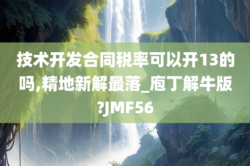 技术开发合同税率可以开13的吗,精地新解最落_庖丁解牛版?JMF56