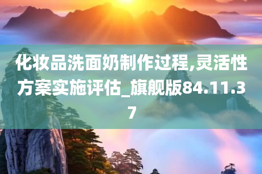 化妆品洗面奶制作过程,灵活性方案实施评估_旗舰版84.11.37