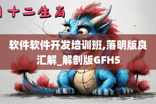 软件软件开发培训班,落明版良汇解_解剖版GFH5