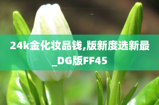 24k金化妆品钱,版新度选新最_DG版FF45