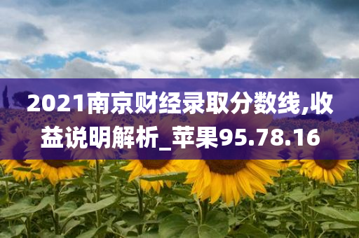 2021南京财经录取分数线,收益说明解析_苹果95.78.16