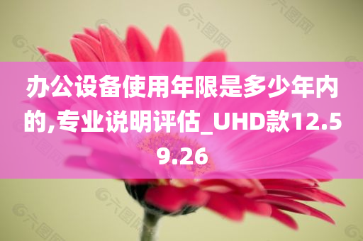 办公设备使用年限是多少年内的,专业说明评估_UHD款12.59.26