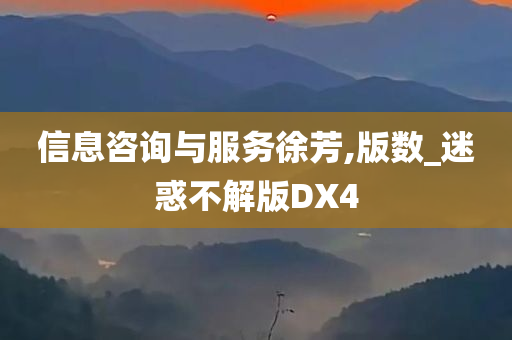 信息咨询与服务徐芳,版数_迷惑不解版DX4