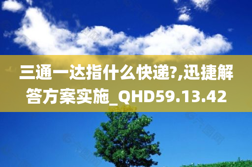 三通一达指什么快递?,迅捷解答方案实施_QHD59.13.42