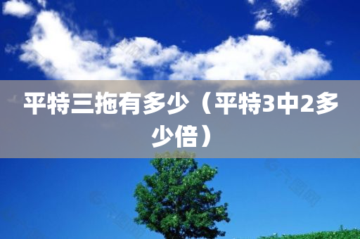 平特三拖有多少（平特3中2多少倍）