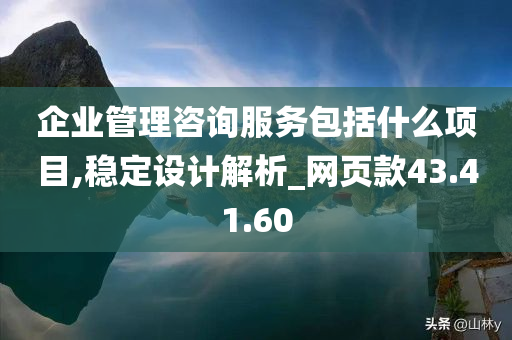 企业管理咨询服务包括什么项目,稳定设计解析_网页款43.41.60