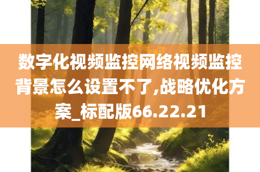 数字化视频监控网络视频监控背景怎么设置不了,战略优化方案_标配版66.22.21