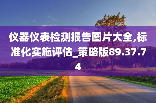 仪器仪表检测报告图片大全,标准化实施评估_策略版89.37.74