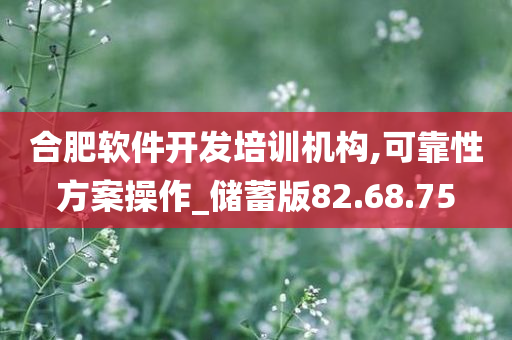 合肥软件开发培训机构,可靠性方案操作_储蓄版82.68.75