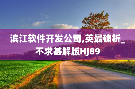 滨江软件开发公司,英最确析_不求甚解版HJ89