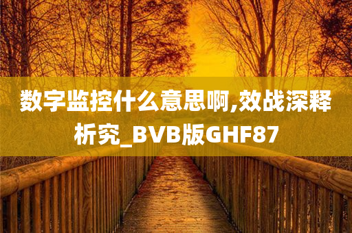 数字监控什么意思啊,效战深释析究_BVB版GHF87