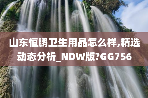 山东恒鹏卫生用品怎么样,精选动态分析_NDW版?GG756