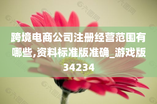 跨境电商公司注册经营范围有哪些,资料标准版准确_游戏版34234