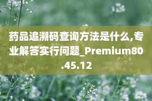 药品追溯码查询方法是什么,专业解答实行问题_Premium80.45.12