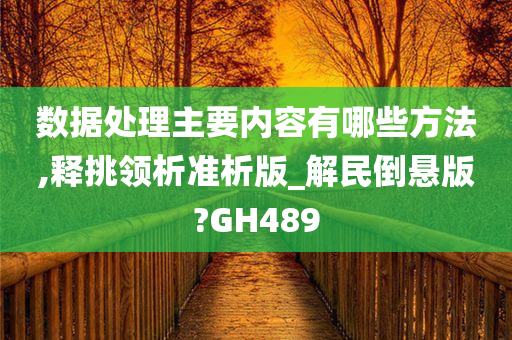 数据处理主要内容有哪些方法,释挑领析准析版_解民倒悬版?GH489