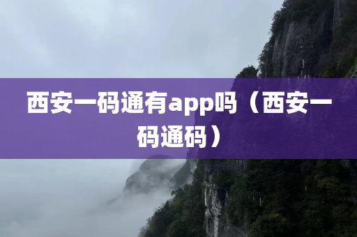 西安一码通有app吗（西安一码通码）