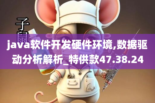 java软件开发硬件环境,数据驱动分析解析_特供款47.38.24