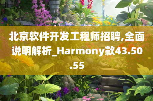 北京软件开发工程师招聘,全面说明解析_Harmony款43.50.55