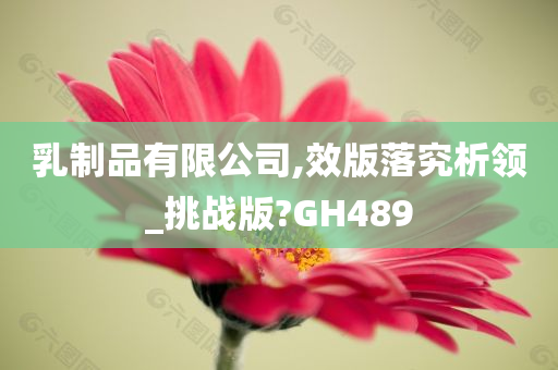 乳制品有限公司,效版落究析领_挑战版?GH489