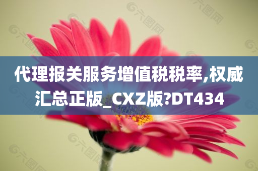 代理报关服务增值税税率,权威汇总正版_CXZ版?DT434