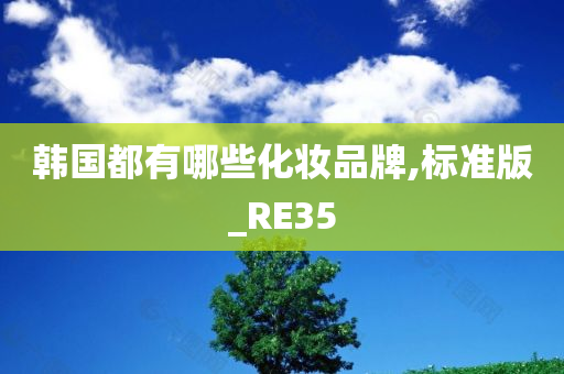 韩国都有哪些化妆品牌,标准版_RE35