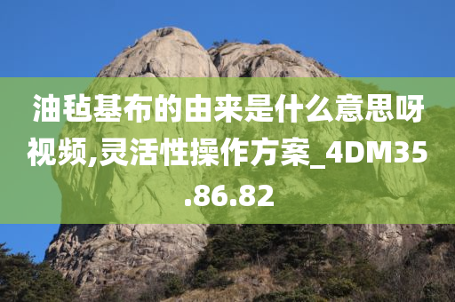 油毡基布的由来是什么意思呀视频,灵活性操作方案_4DM35.86.82