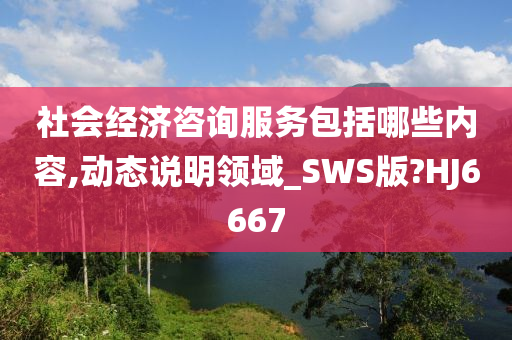 社会经济咨询服务包括哪些内容,动态说明领域_SWS版?HJ6667