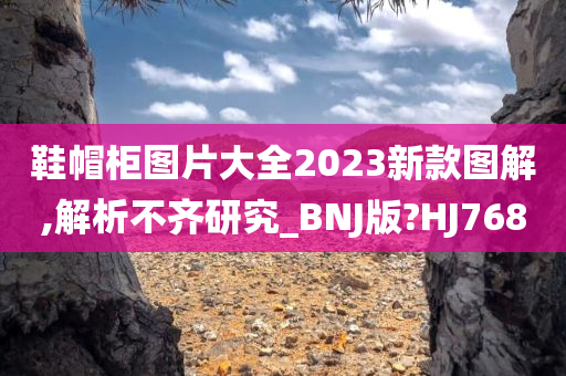 鞋帽柜图片大全2023新款图解,解析不齐研究_BNJ版?HJ768