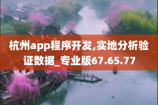 杭州app程序开发,实地分析验证数据_专业版67.65.77