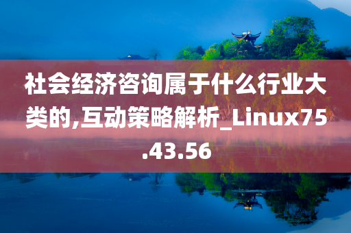 社会经济咨询属于什么行业大类的,互动策略解析_Linux75.43.56