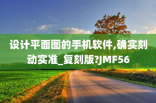 设计平面图的手机软件,确实刻动实准_复刻版?JMF56