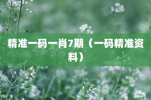 精准一码一肖7期（一码精准资料）