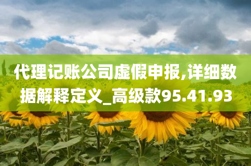 代理记账公司虚假申报,详细数据解释定义_高级款95.41.93