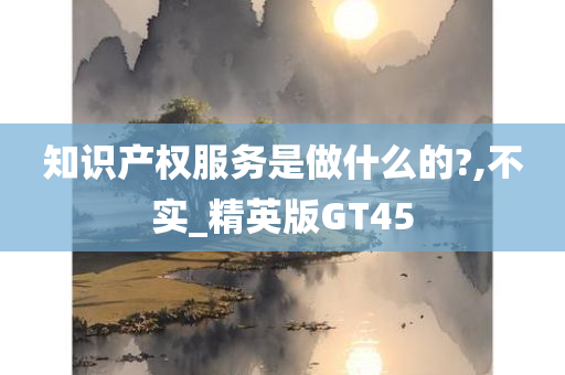 知识产权服务是做什么的?,不实_精英版GT45