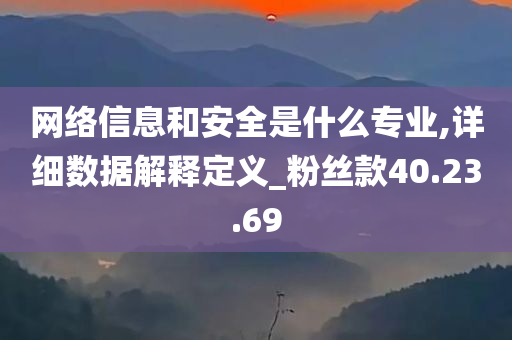 网络信息和安全是什么专业,详细数据解释定义_粉丝款40.23.69