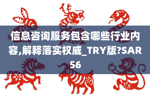 信息咨询服务包含哪些行业内容,解释落实权威_TRY版?SAR56